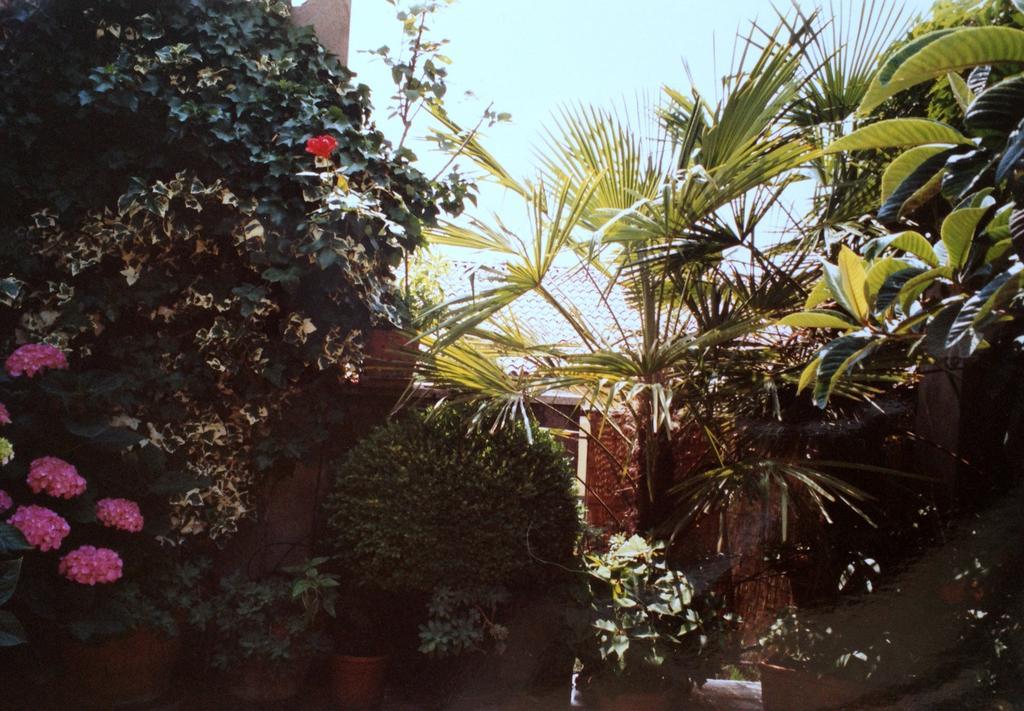 Gheller Apartment 维罗纳 客房 照片
